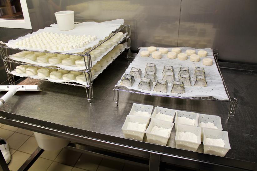 Valmeinier visite de la ferme du Mont Thabor APRR AREA